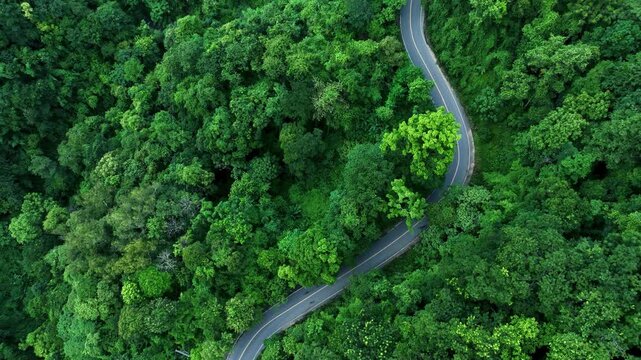 Aerial forest road with car creating abstract background for electric vehicle, ESG, sustainability and green investment business concepts.