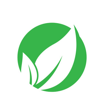 fresh leaf logo design for natural life