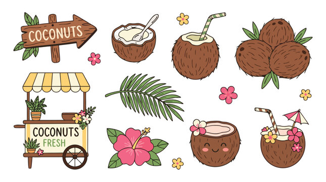 Coconut fruit and tropical leaves with flowers and cart  fresh summer vacation objects
