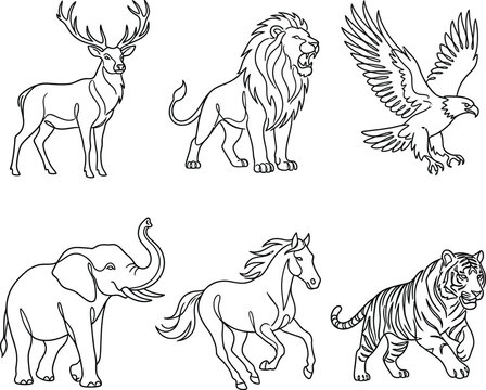 Professional line art animal bundle including majestic buck roaring lion hunting eagle walking elephant running stallion and detailed tiger designs.