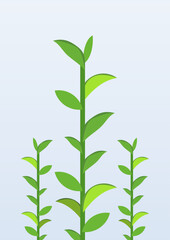 Fototapeta premium Three green tea branches with fresh leaves on light backdrop. Minimal clean graphic design element template for organic beverage packaging or herbal theme.
