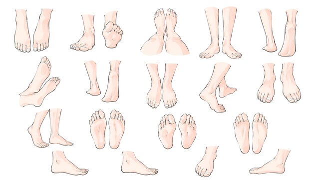 Anime Style Feet Reference Sheet Collection With Multiple Poses Angles And Views For Character Design Study