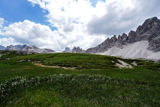 alpine meadow in the alps