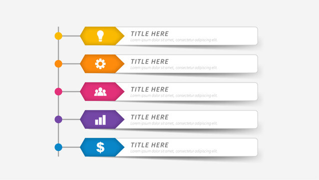 5 step vertical timeline infographic template for business presentations vector