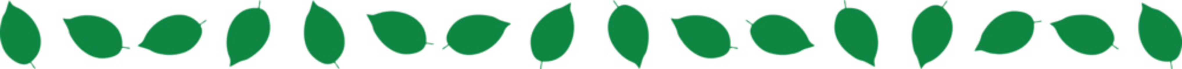 Decorative green leaf sequence design element. Simple foliage border vector for organic cosmetics packaging, greeting cards, stationery, and nature branding © Afzal