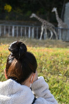 キリンを撮影するカメラ女子の後ろ姿