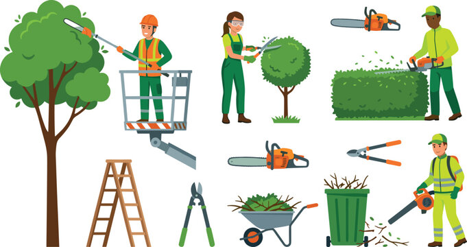 Professional arborist and gardening vector character set trimming bushes, cutting trees with chainsaw, and cleaning yard with leaf blower for landscaping designs