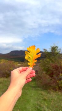 Fall. Hand showcases bright yellow oak leaf in foreground while beautiful mountains and cloudy sky create a stunning backdrop. Nature exploration concept.