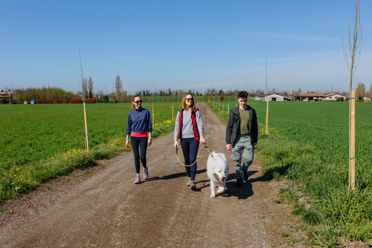 Three Friends Walking Maremma Sheepdog Along Rural Dirt Road on Sunny Day