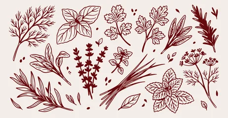 Herbs and spices seamless pattern, hand drawn culinary botanical wallpaper, organic kitchen ingredients background, vintage sketch cooking backdrop, aromatic plants line drawing, rustic restaurant men © Geetaroy