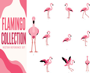 Naklejka premium Premium Greater Flamingo Collection – 10 Flat Graphic Vector Illustration Poses for Tropical Wildlife, Nature and Educational Design
