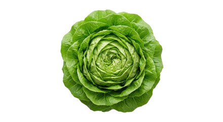 Obraz premium Fresh green lettuce on white background