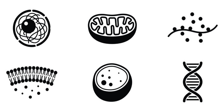 Cell structure mitochondrion molecule and dna helix vector illustration.