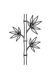 Obraz premium Simple bamboo stalk with leaves outline vector for eco concept