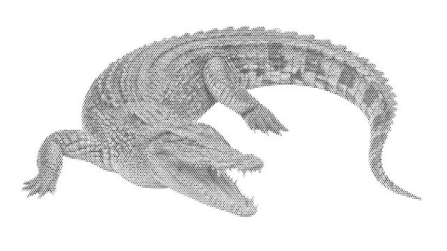 halftone reptile alligator crocodile swamp dangerous nature wild predator wildlife vector illustration graphic design dotted black white swamp