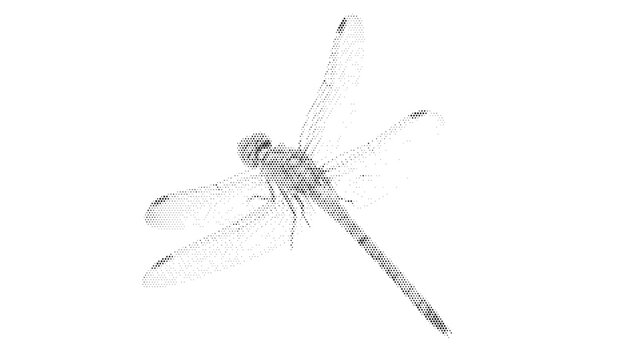 dragonfly insect winged halftone nature flying wildlife animal summer wild vintage dotted stipple black white background monochrome wild