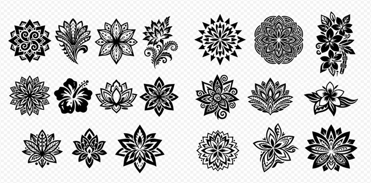 Set of beautiful black and white floral design elements and patterns for decoration.