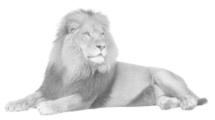 halftone cat king lion majestic feline nature wild predator wildlife vector illustration graphic design dotted black white feline © Josnara