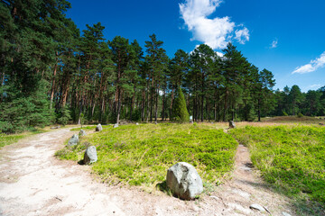 Kręgi Kamienne w Odrach © Michal