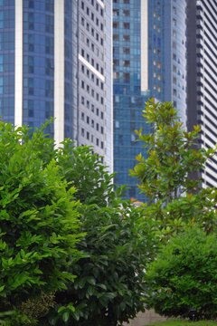Vertical low angle shot of lush green bushes and magnolia trees against blurred modern glass skyscrapers and apartment buildings in Batumi, Georgia