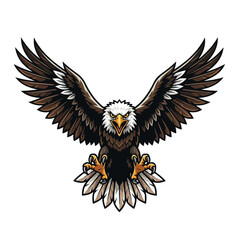 Fototapeta premium american bald eagle in flight