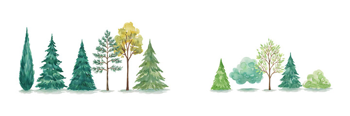 Fototapeta premium Watercolor of various evergreen and deciduous trees arranged in a row on a white background, for nature projects