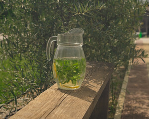 Herbal lemonade with fresh mint leaves and lemon in a clear jug on park bench   © Maria A