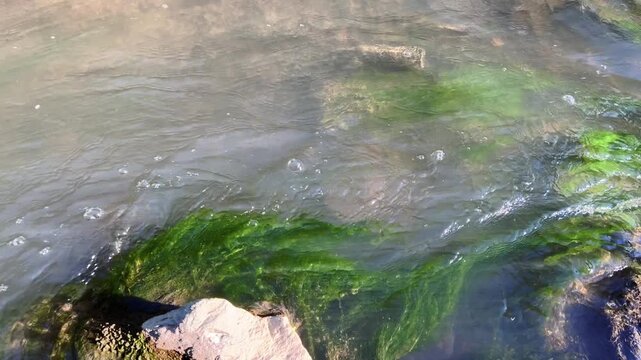Flowing river water rippling over mossy green stones close up view