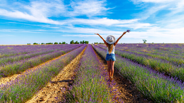 Rear view of happy woman with raised arms holding flowers standing in beautiful lavender field,  Spain