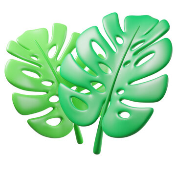 3D tropical monstera leaves, isolated on background. Fresh green botanical design element for summer branding, eco-friendly, wellness, spa, tropical invitations, stickers. 3d render
