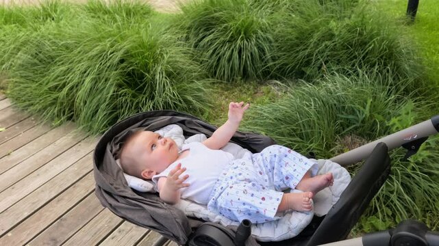 Baby Relaxing In Stroller Beside Green Grass Outdoors
