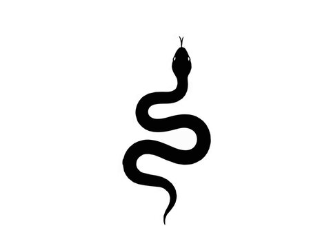 Black Snake Silhouette Slithering Isolated on White Background for Tattoo or Logo Design Concept