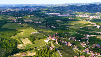 Obraz premium Aerial View of Rolling Piedmont Vineyards and Italian Village Estates