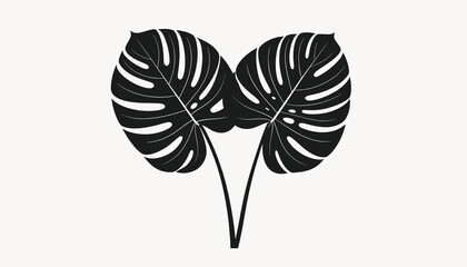 Monstera Deliciosa Leaf Plant Closeup. © Cctv