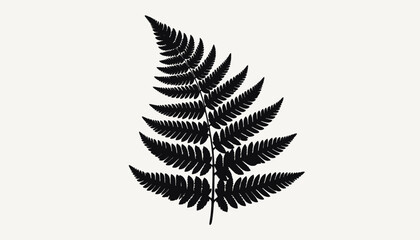 Black silhouette of a fern leaf. © Cctv