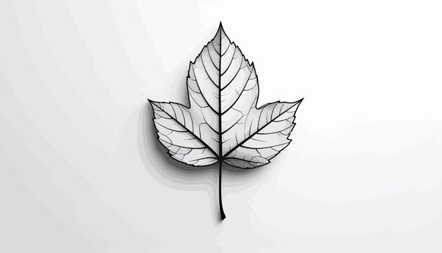 Detailed drawing of a single leaf.