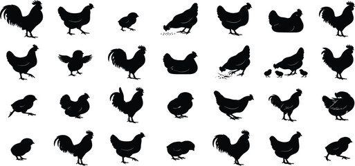 Comprehensive Chicken and Poultry Livestock Icon Set Featuring Black Minimalist Silhouettes for Organic Farm Branding Agriculture and Creative Graphic Designs. © MstRuna