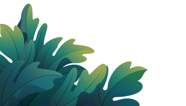Wide grass leaf background asset for image compositing. Transparent background.
