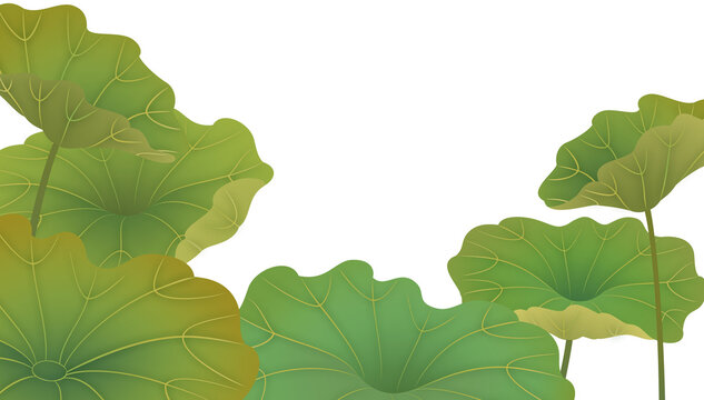 Wide grass leaf background asset for image compositing. Transparent background.
