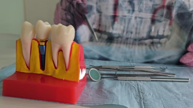 Learning about dental tools and tooth structure in a dental office setup with models and instruments