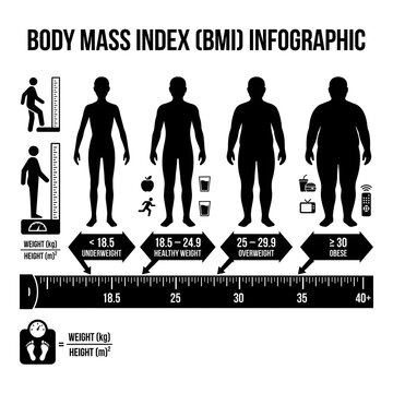 Body mass index bmi infographic chart with human silhouettes