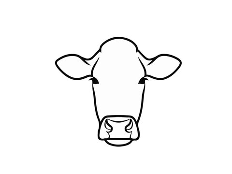 Minimalist Black and White Cow Head Line Art Illustration Isolated on White Background for Logo