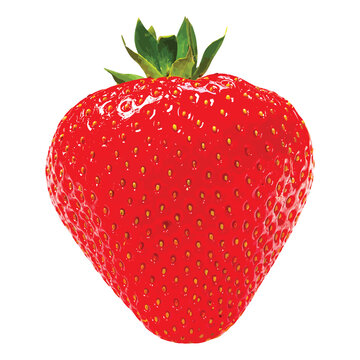 Fresh Ripe Red Strawberry Isolated on White Background Close Up Macro of Sweet Organic Berry with Green Leaf Healthy Juicy Fruit Food Concept