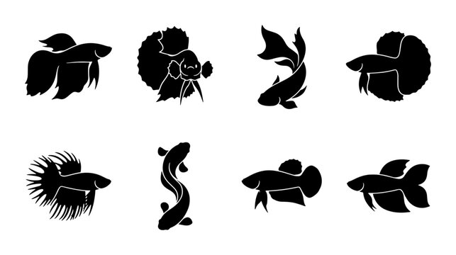 Betta Fish Silhouettes, Siamese Fighting Fish Vector Icons, Aquatic Pet Collection