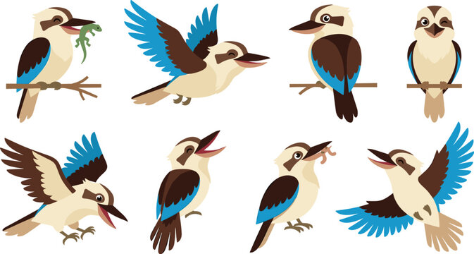 Cute cartoon kookaburra vector illustration set showcasing friendly australian wildlife birds in various active poses flying perched on branch eating lizard isolated on white background