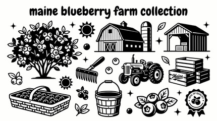 maine blueberry farming elements featuring blueberry bushes harvest baskets farm barns packing crates agricultural equipment and fresh berry production arranged as a premium commercial vector © samira