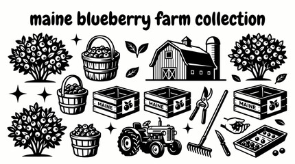 maine blueberry farming elements featuring blueberry bushes harvest baskets farm barns packing crates agricultural equipment and fresh berry production arranged as a premium commercial vector © samira
