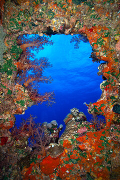 shipwrecks in Egypt. Schools of fish at the Carnatic wreck. Shipwreck SS Carnatic, scuba diver on ship wreck, Hurghada, Shaab Abu Nuhas Reef, Carnatic Wreck, Red Sea, Egypt, Africa