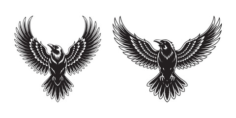 Black raven with spread wings, tattoo bird crow white © MdMezbahul