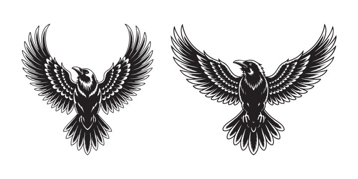 Black raven with spread wings, tattoo bird crow white
